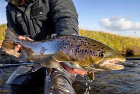 Spend the afternoon fishing for sea-run brown trout, then return to the lodge for dinner and a soak